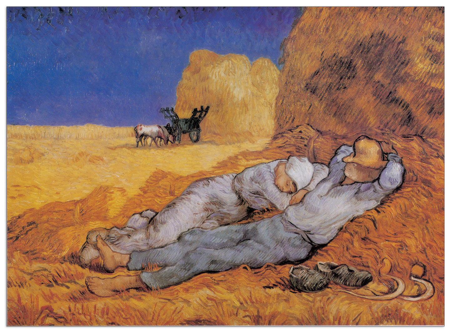The Afternoon Siesta cm 100x73