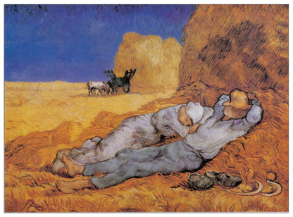 The Afternoon Siesta cm 100x73