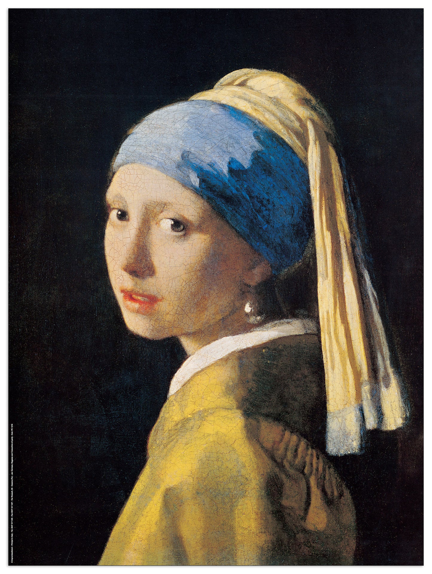 Ragazza Con L'orecchino Di Perla cm 60x80