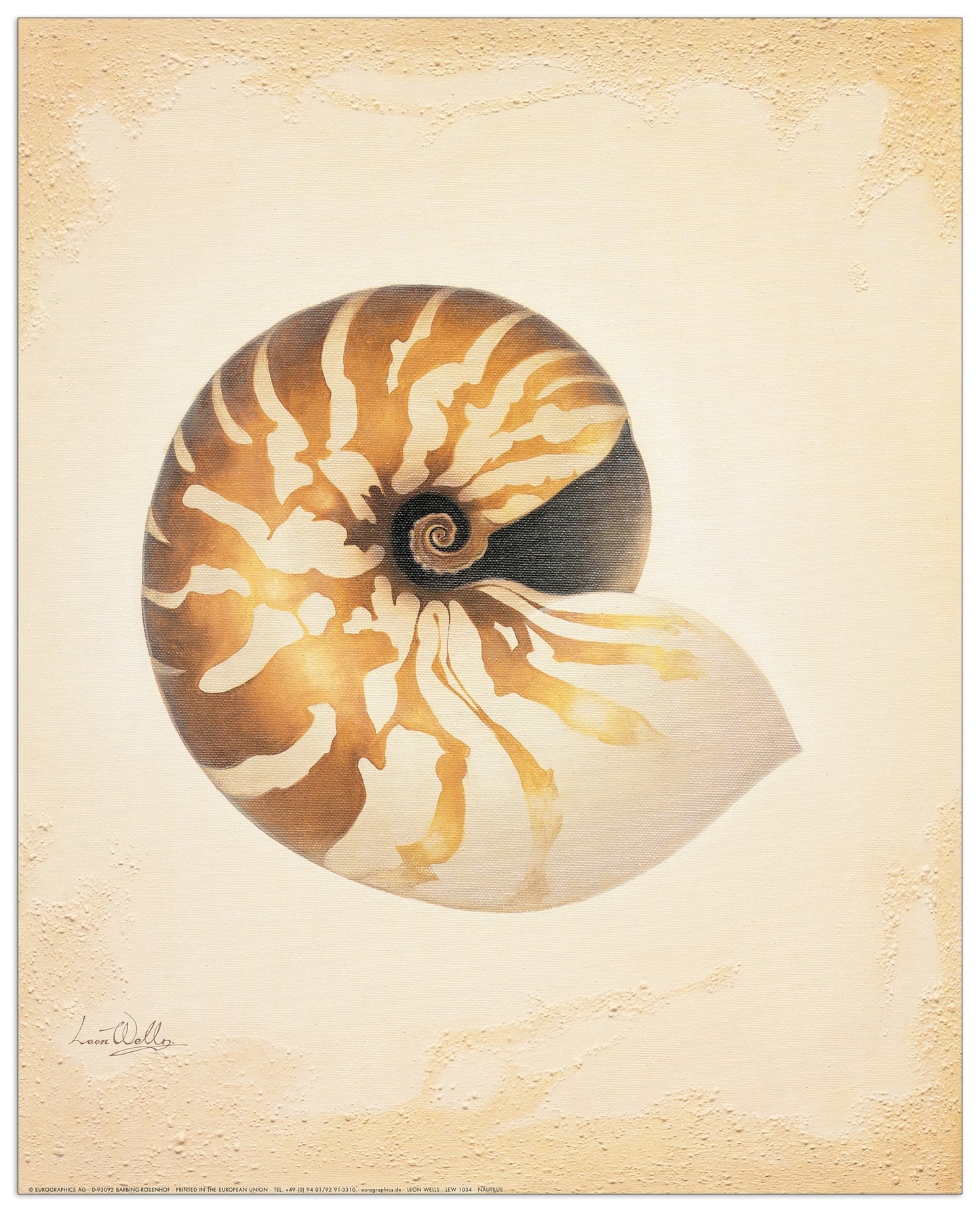 Nautilus cm 40x50
