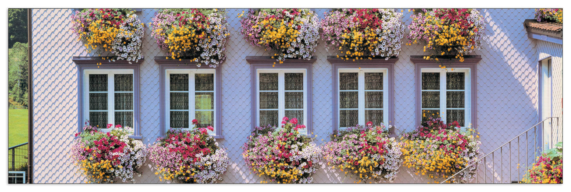 Bloomed Balconies, Appenzel, Switzerland cm 95x30