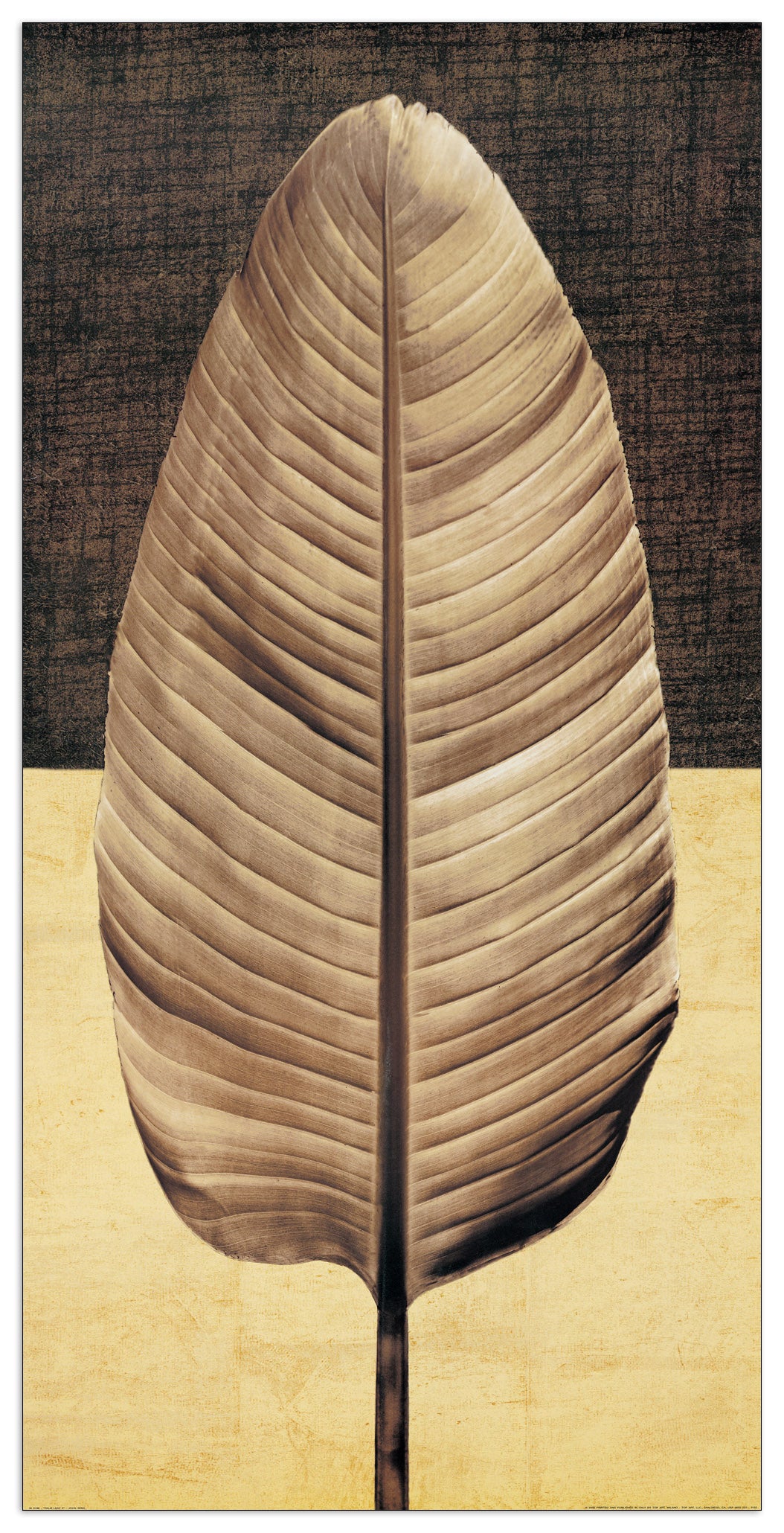 Palm Leaf II cm 60x120
