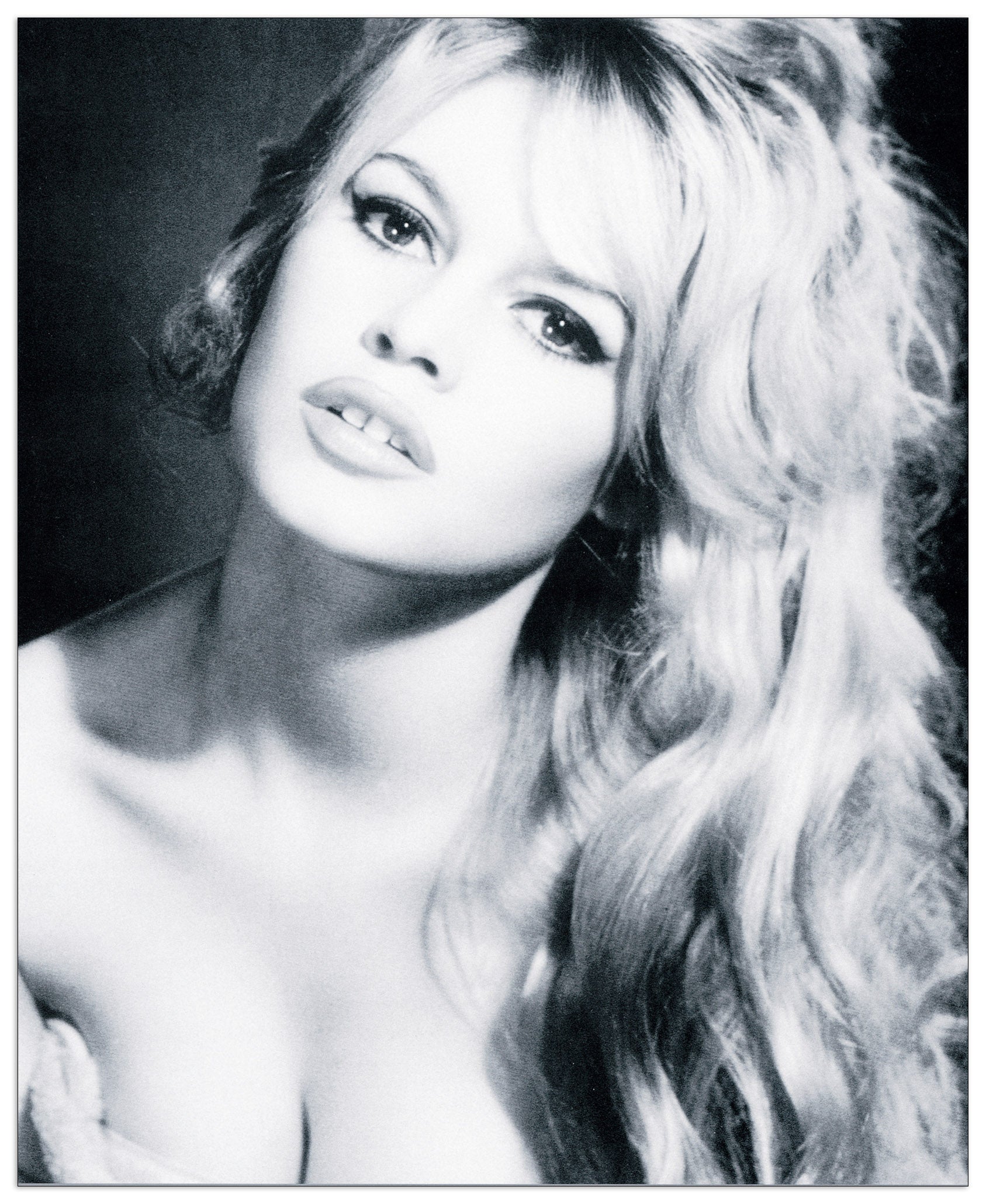 Brigitte Bardot cm 36x44