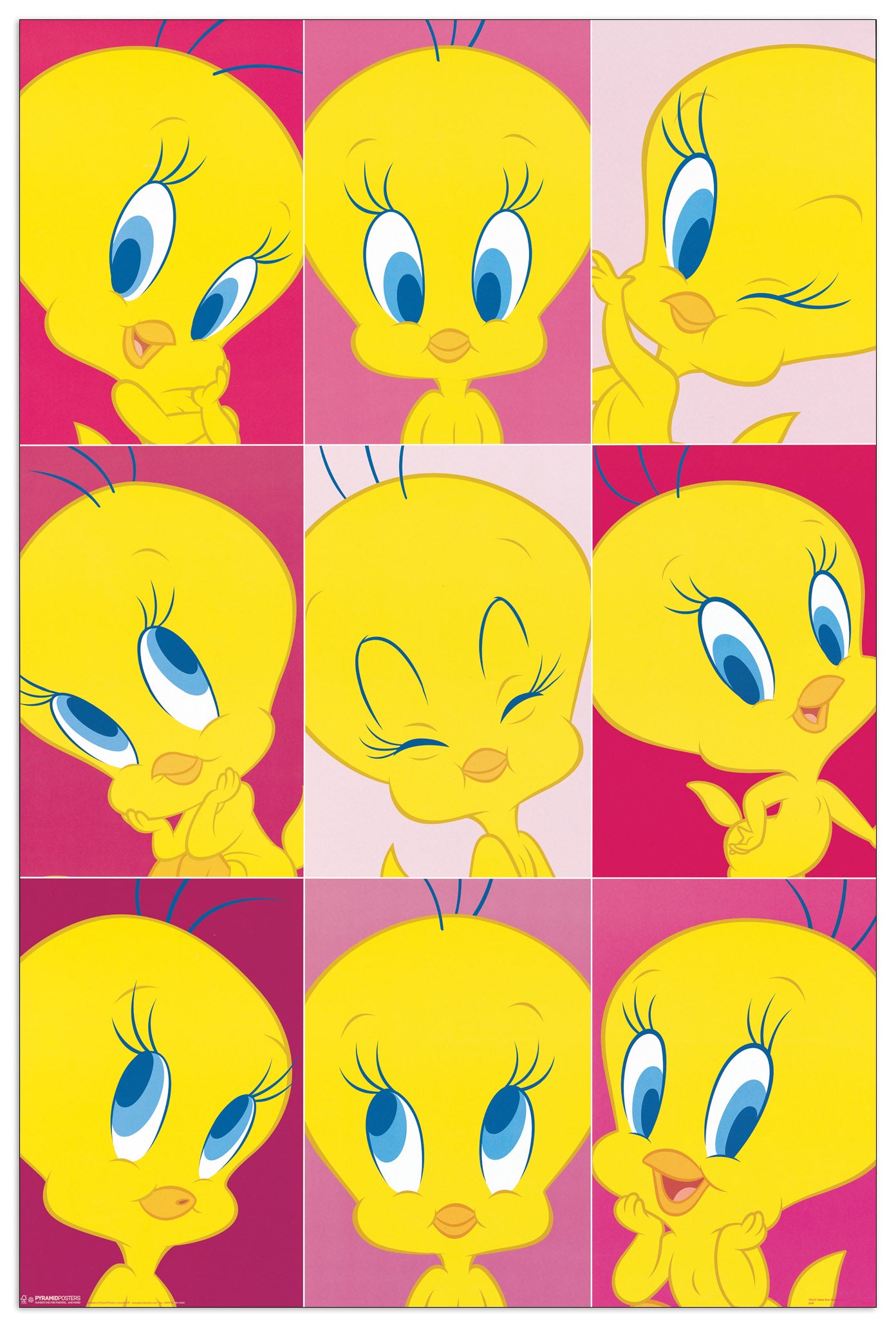 Tweety cm 60x90