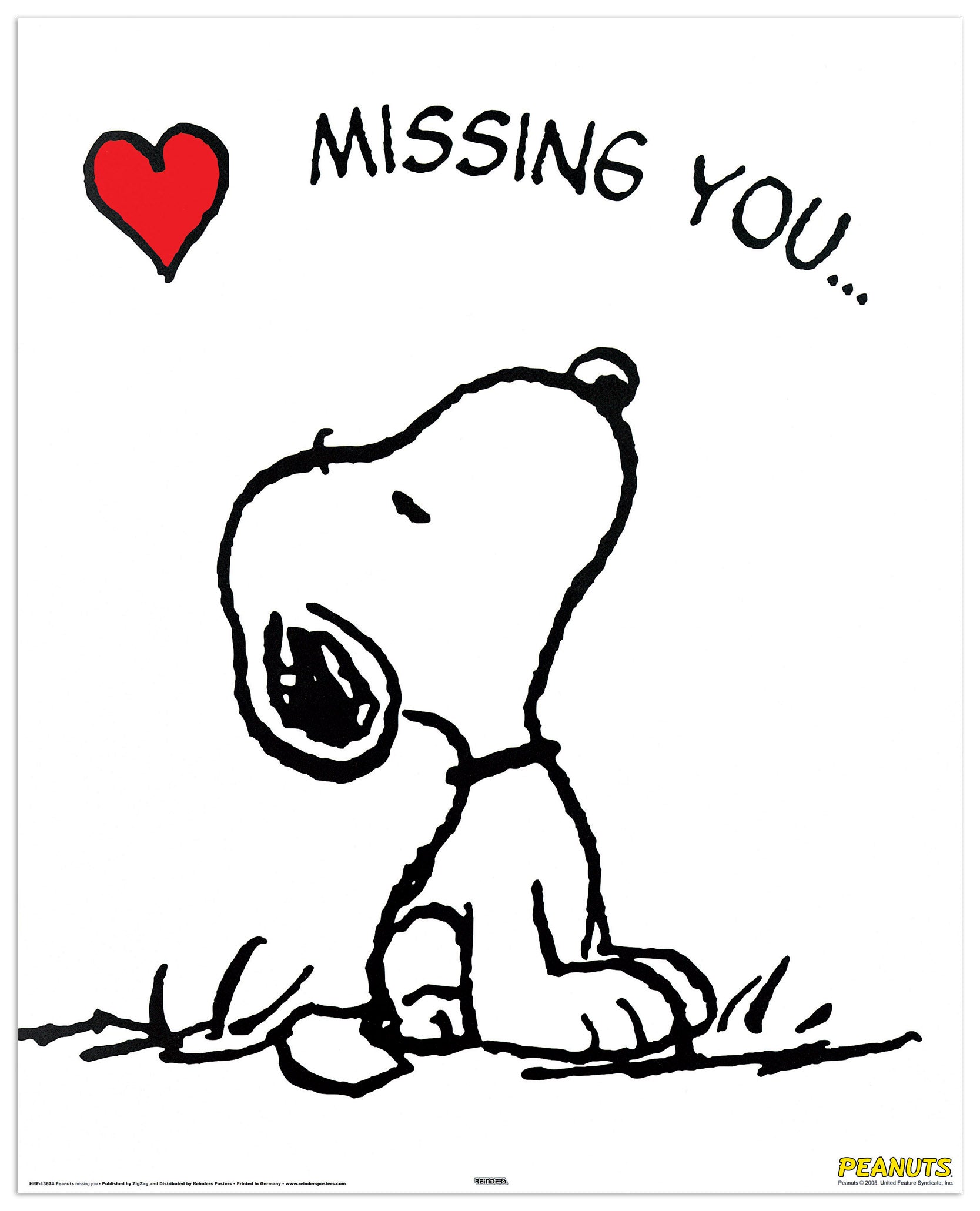 Snoopy cm 40x50