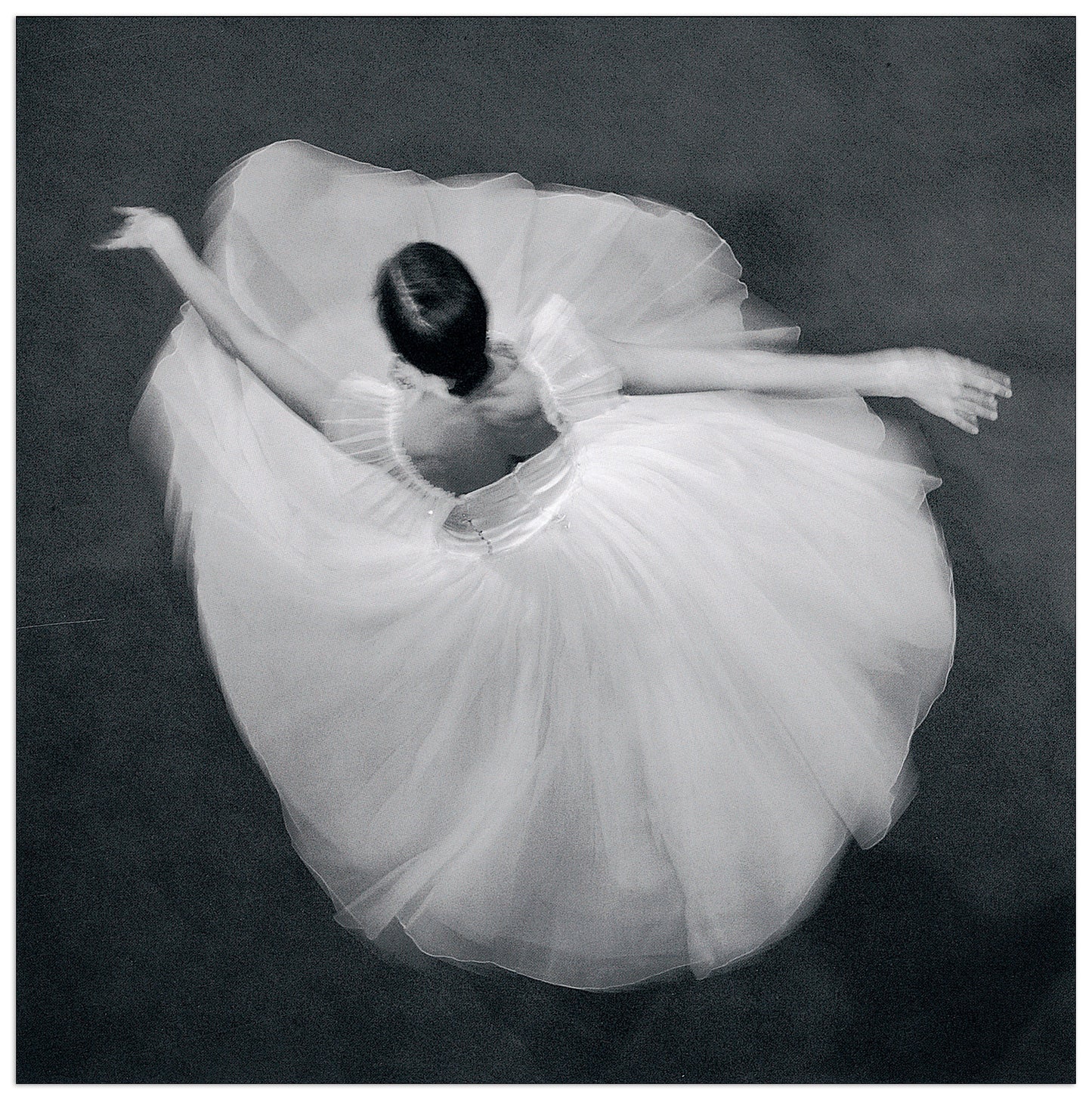 Arabesque cm 30x30