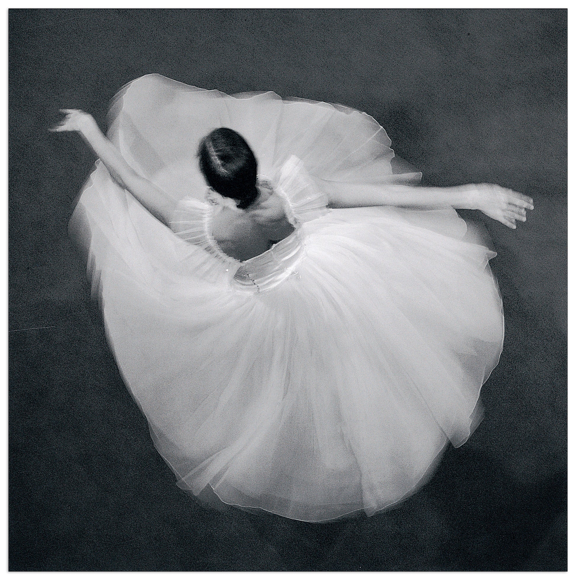 Arabesque cm 30x30