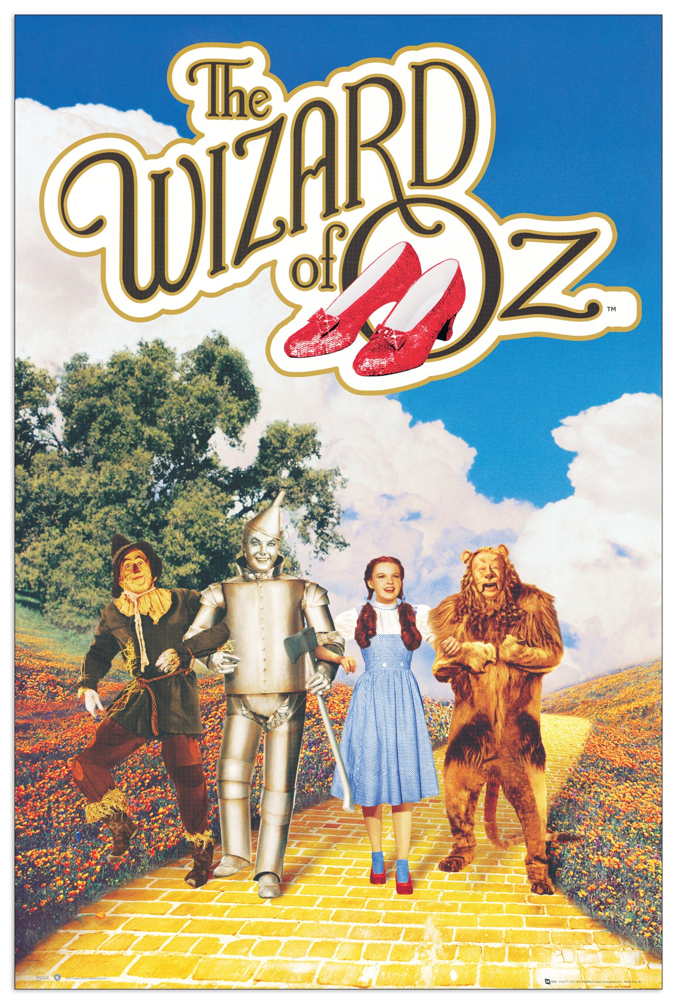 The Wizard Of Oz cm 60x90