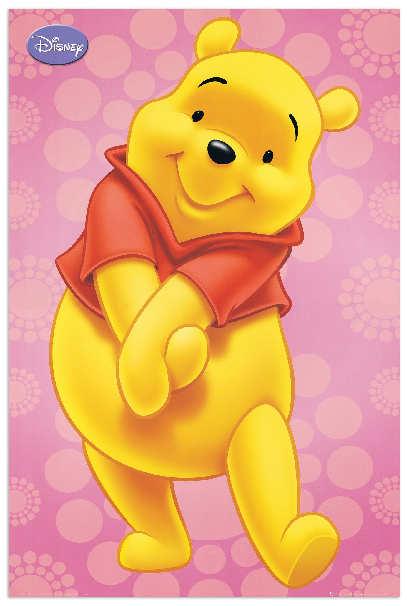 Winnie Pooh cm 60x90