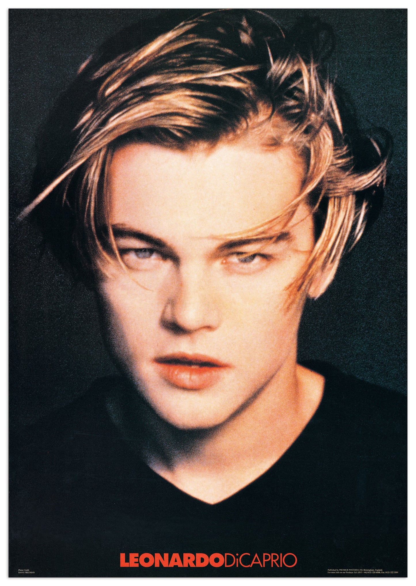 Leonardo Di Caprio cm 60x86