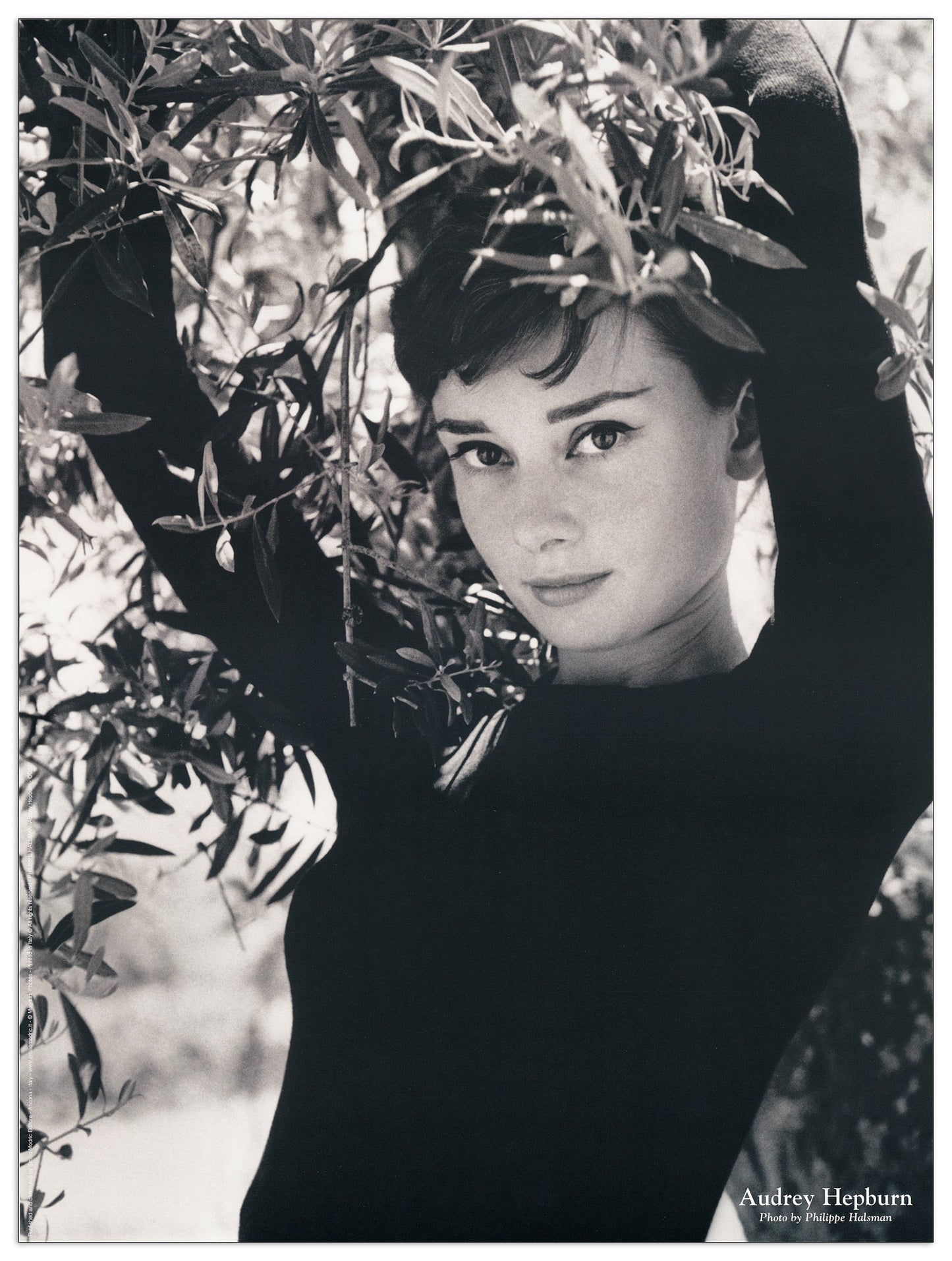Audrey Hepburn cm 60x80