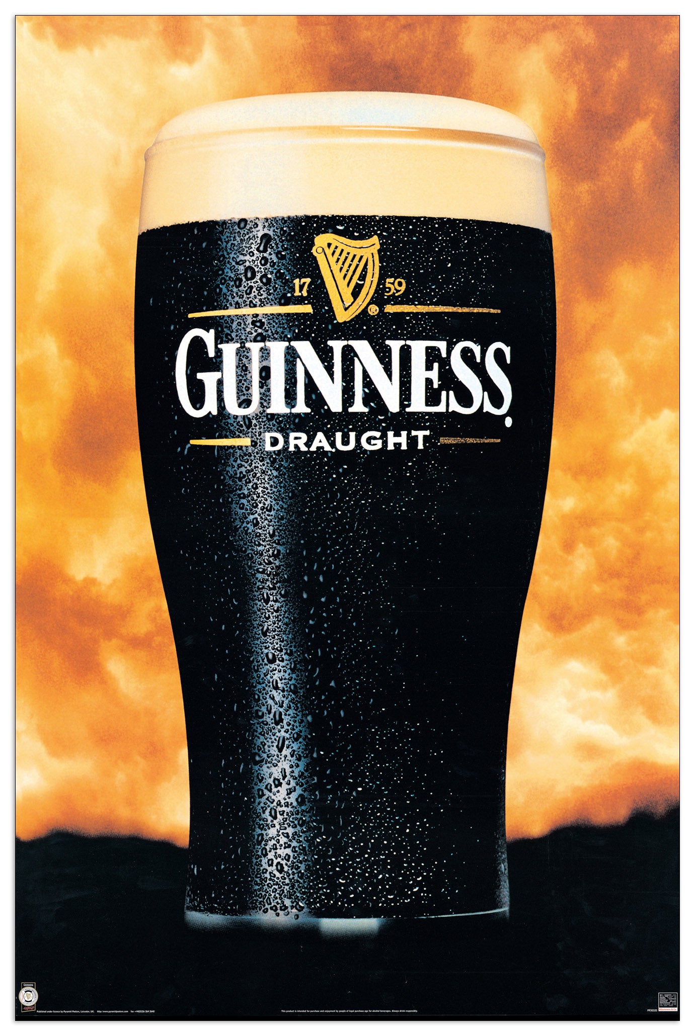 Guinnes cm 60x90