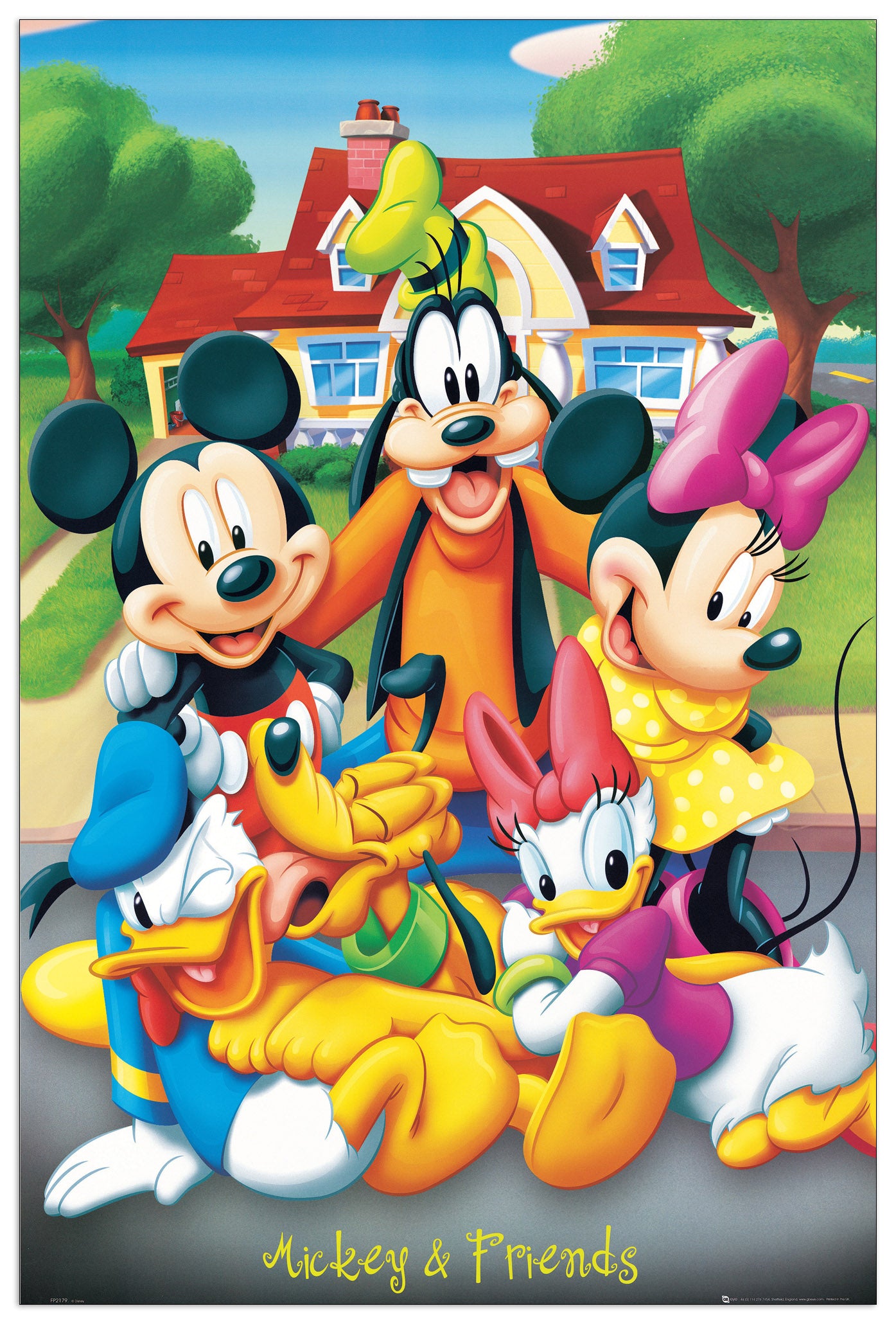 Mickey And Friends cm 60x90