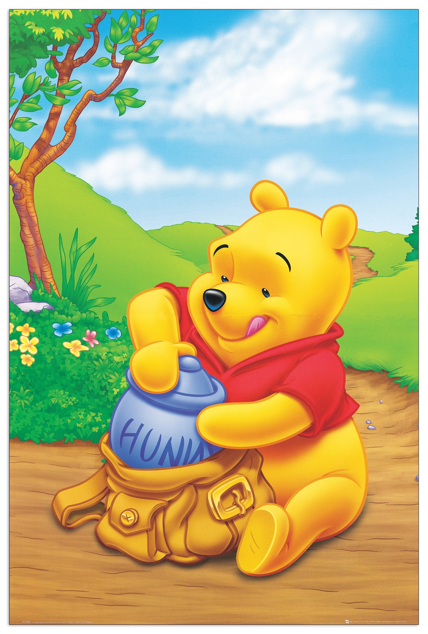 Winnie Pooh cm 60x90