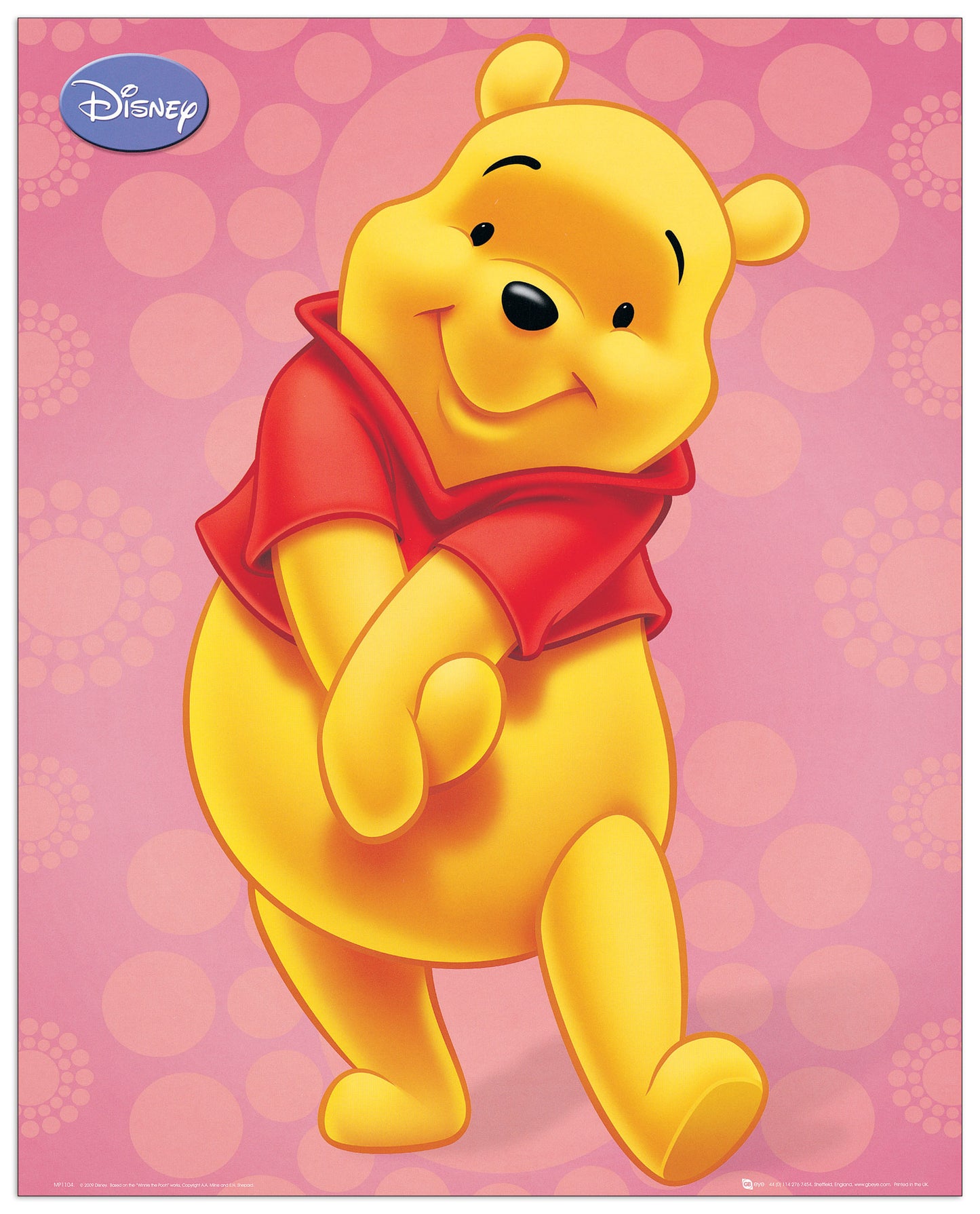 Winnie Pooh cm 40x50