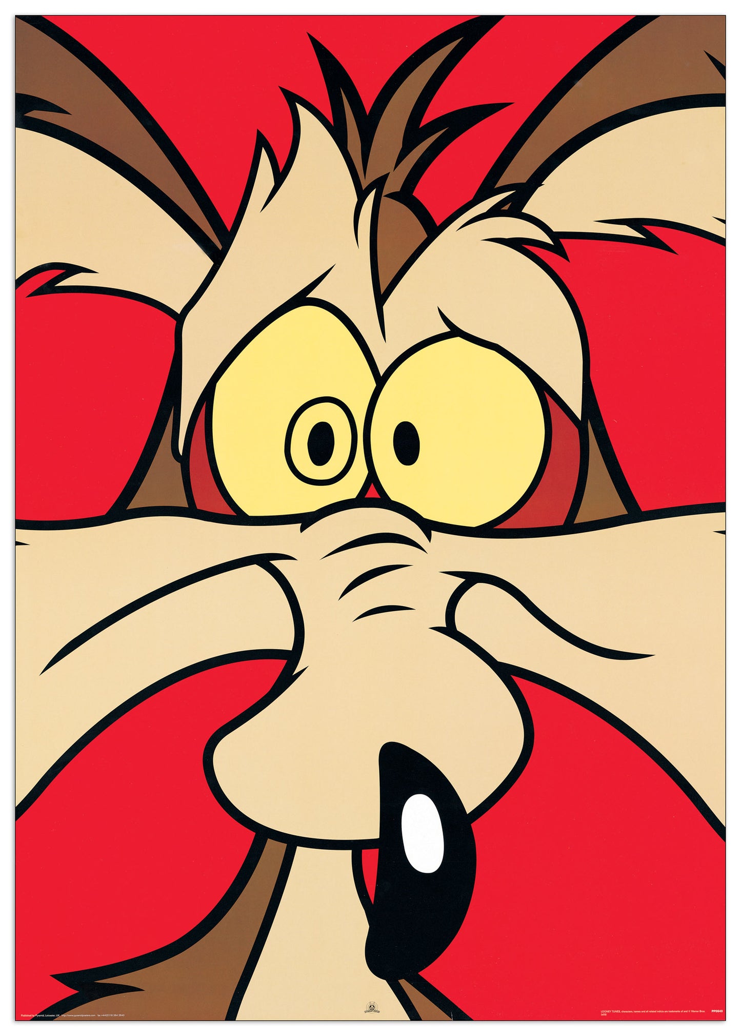 Wile E. Coyote cm 60x85