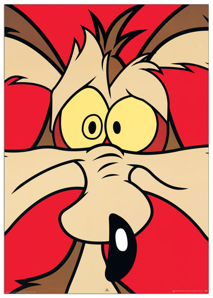 Wile E. Coyote cm 60x85