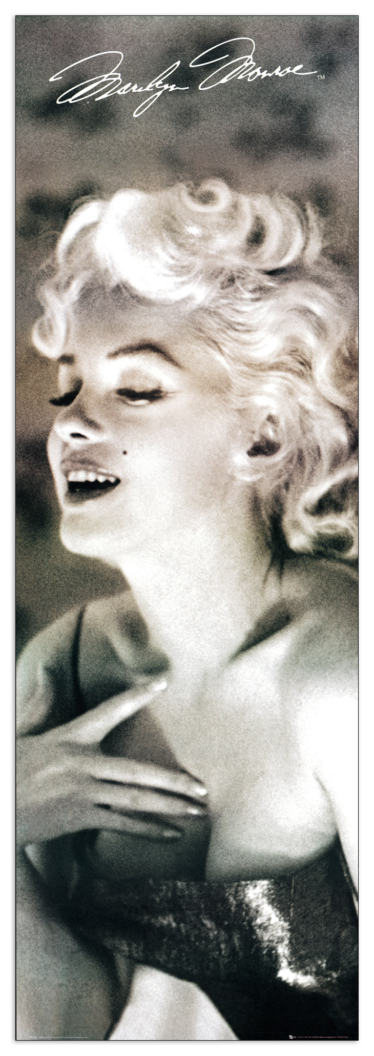 Marilyn Monroe cm 53x158