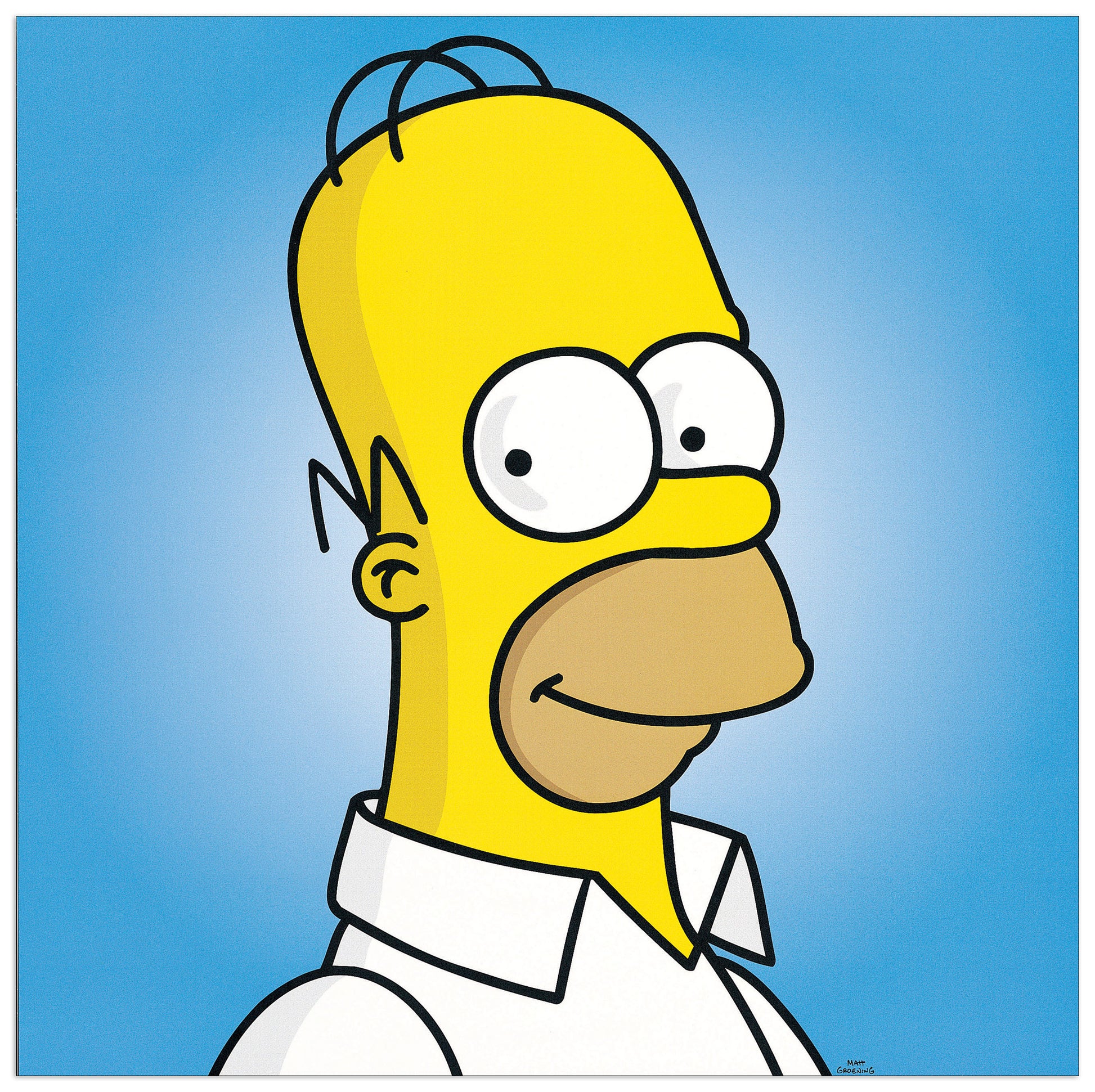 Homer cm 33x33