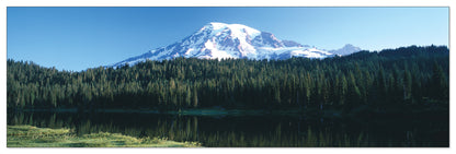U.S.A. Panoramic cm 120x38