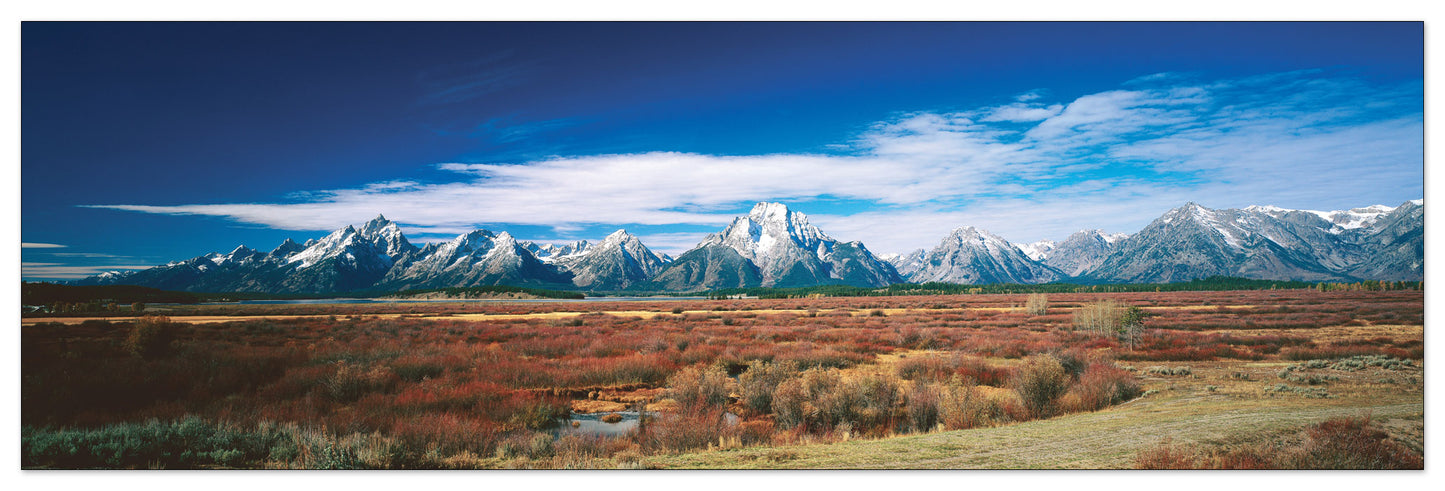 U.S.A. Panoramic cm 120x38