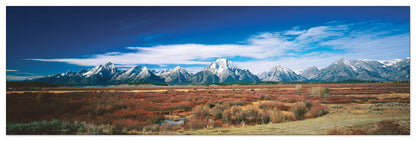 U.S.A. Panoramic cm 120x38