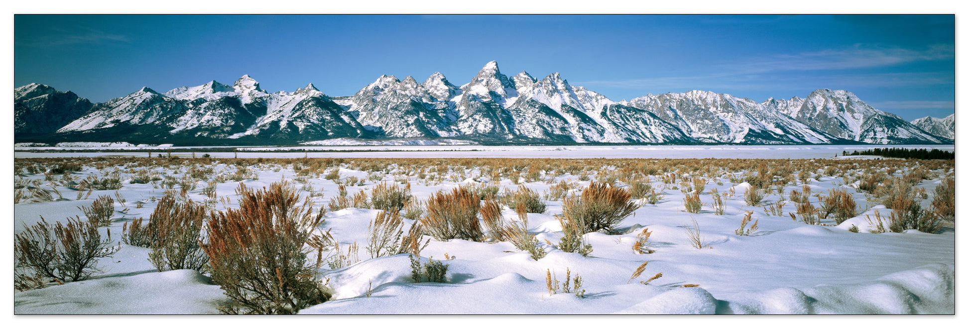 U.S.A. Panoramic cm 120x38