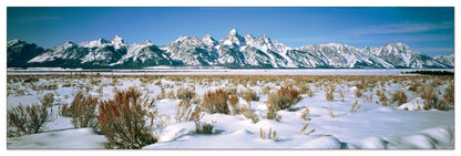 U.S.A. Panoramic cm 120x38