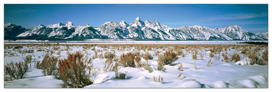 U.S.A. Panoramic cm 120x38