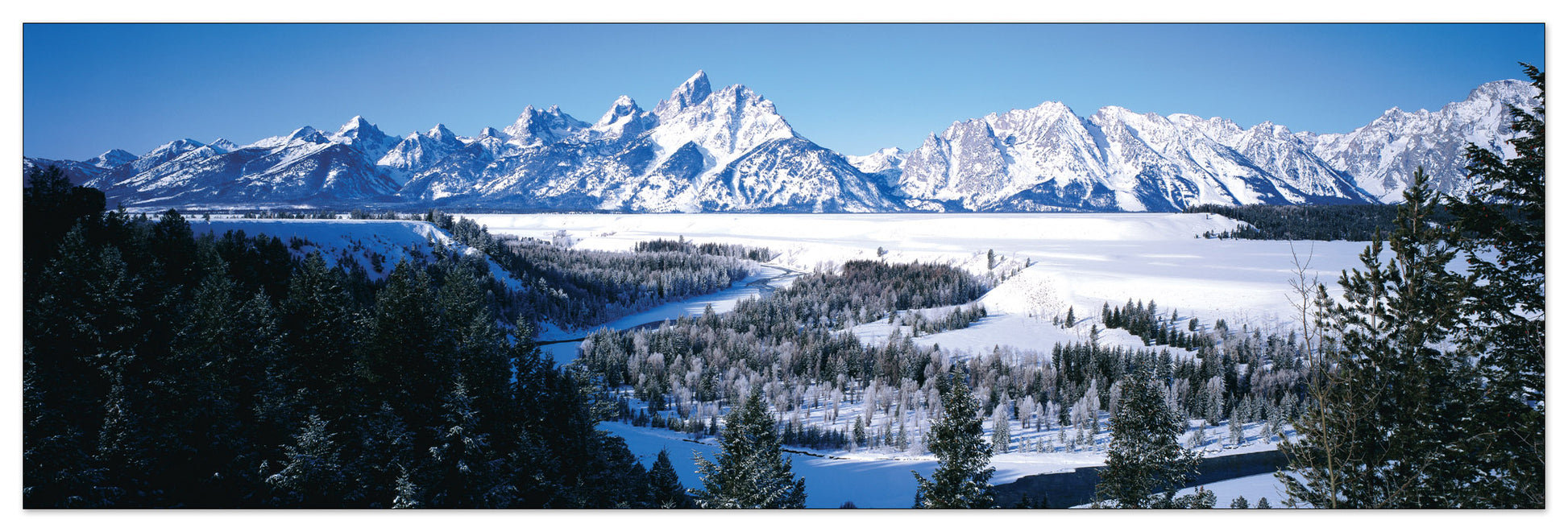 U.S.A. Panoramic cm 120x38