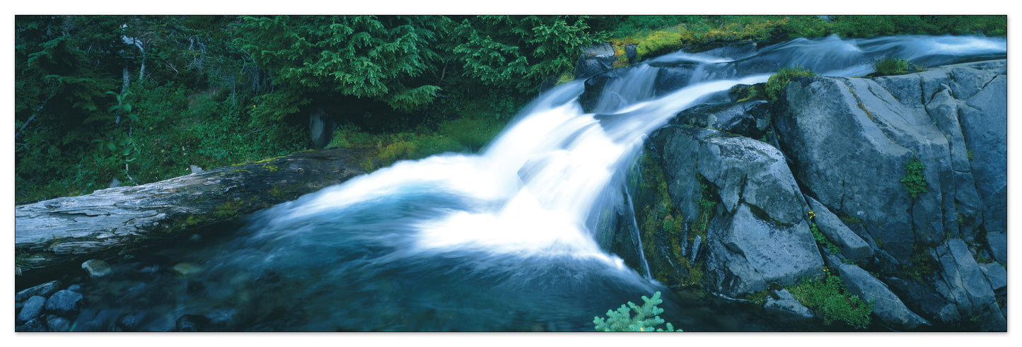 U.S.A. Panoramic cm 120x38
