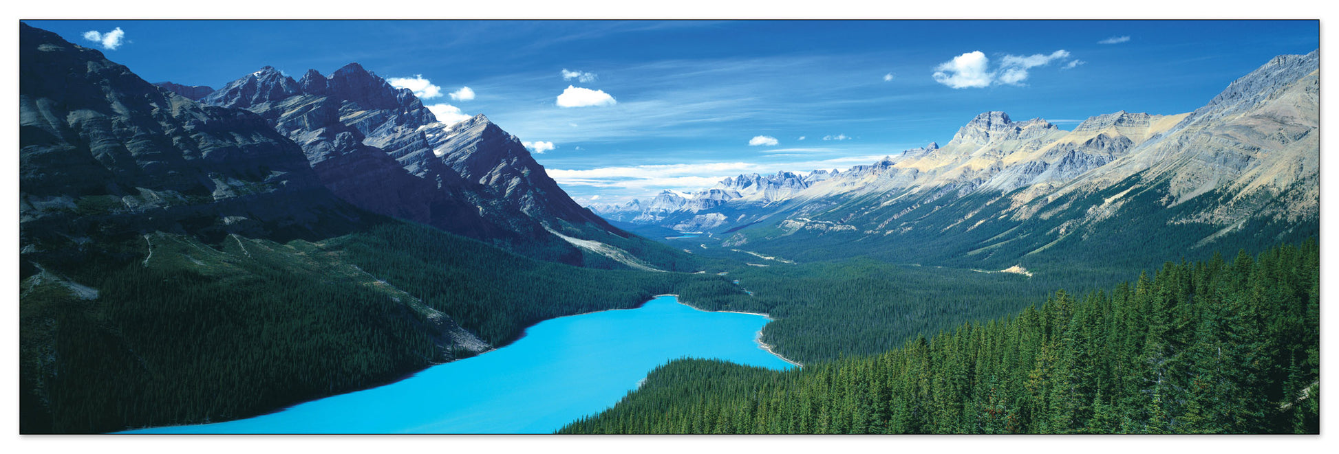 U.S.A. Panoramic cm 120x38