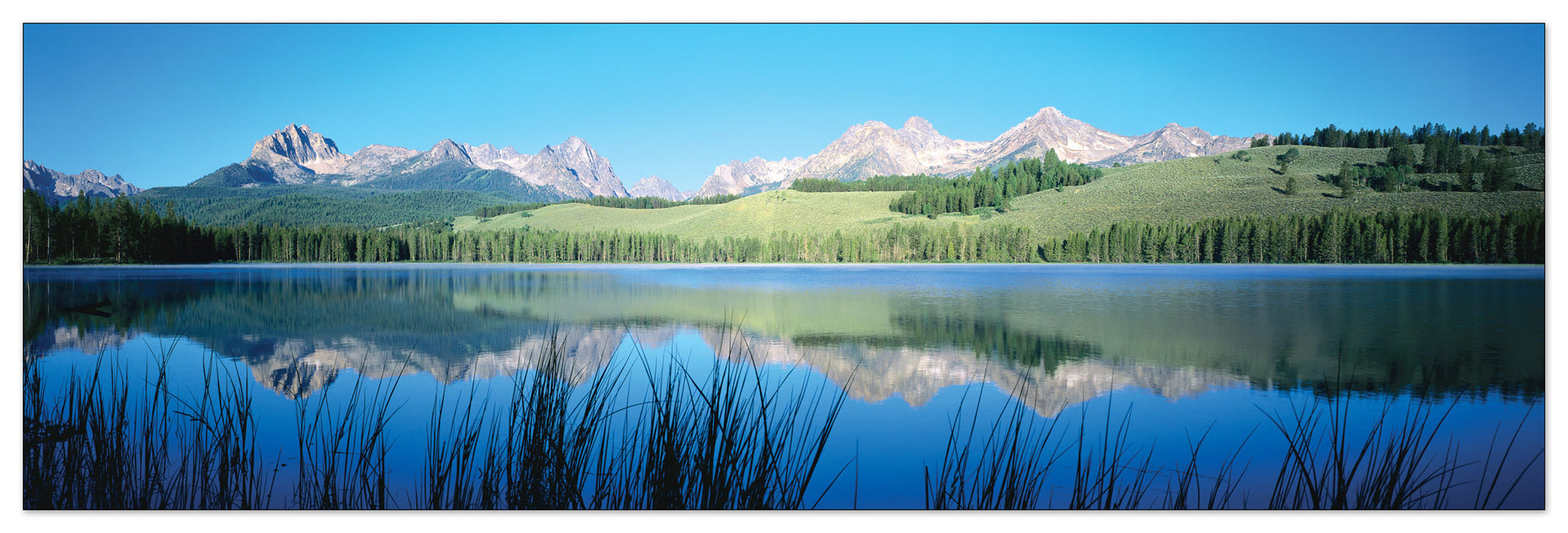 U.S.A. Panoramic cm 120x38