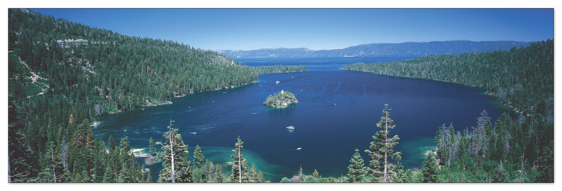 U.S.A. Panoramic cm 120x38