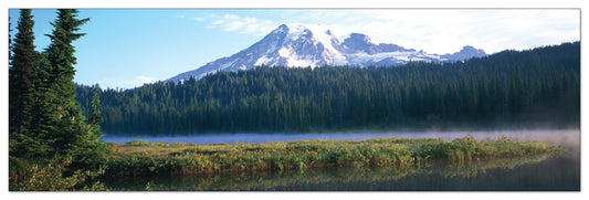 U.S.A. Panoramic cm 120x38