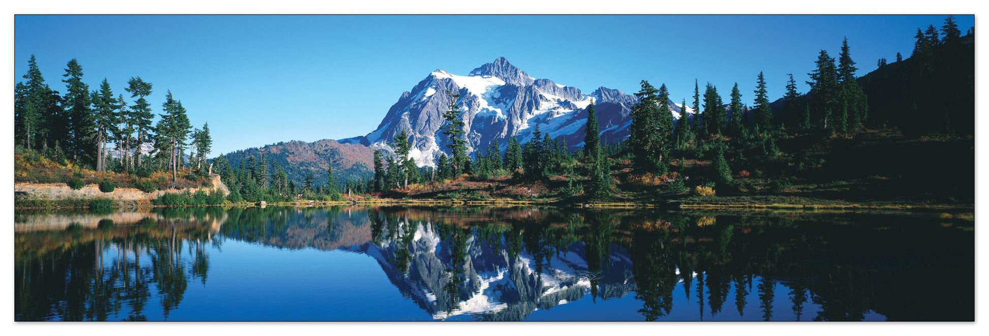 U.S.A. Panoramic cm 120x38
