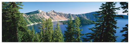 U.S.A. Panoramic cm 120x38