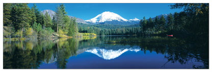 U.S.A. Panoramic cm 120x38