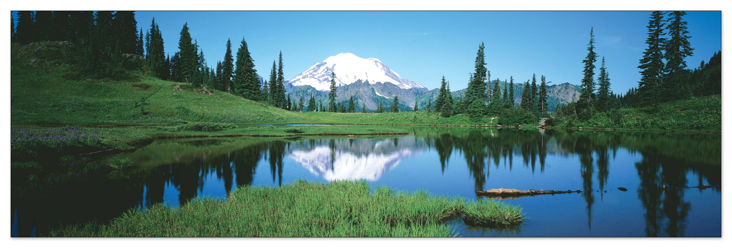 U.S.A. Panoramic cm 120x38