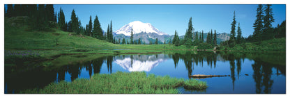U.S.A. Panoramic cm 120x38