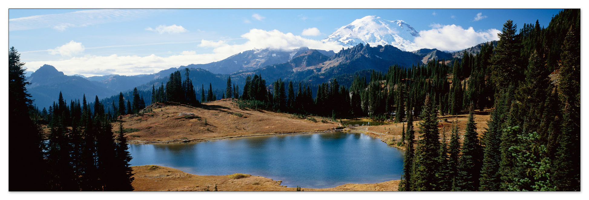 U.S.A. Panoramic cm 120x38