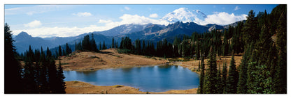 U.S.A. Panoramic cm 120x38