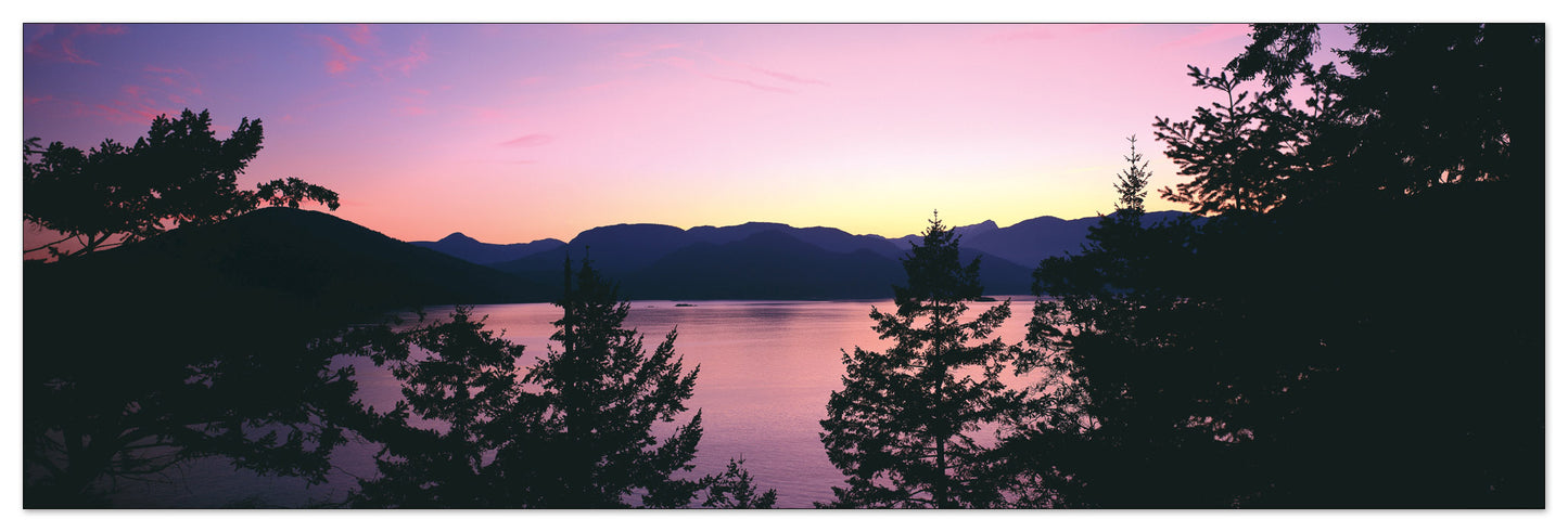 U.S.A. Panoramic cm 120x38