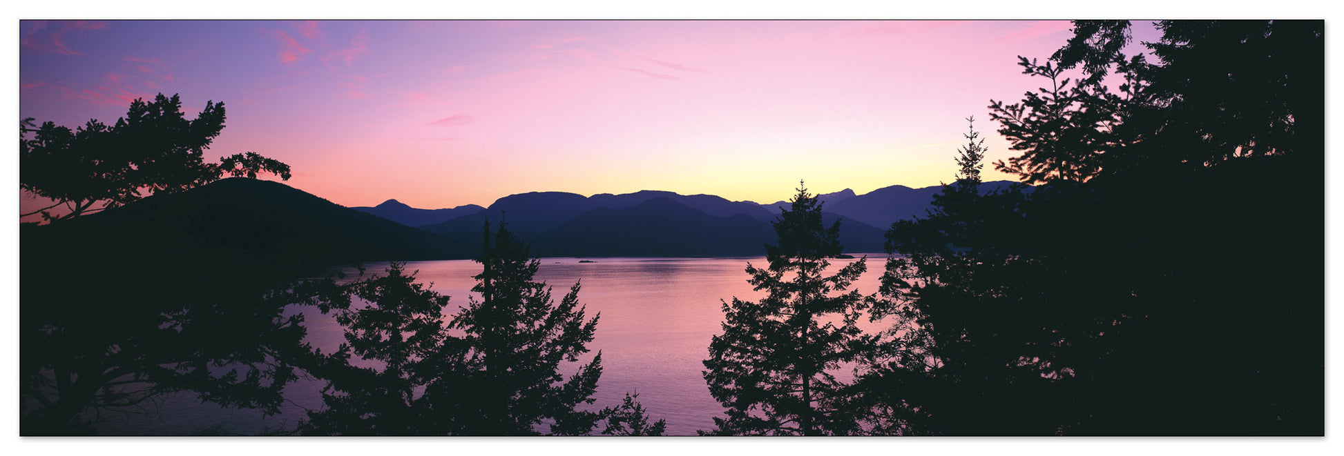 U.S.A. Panoramic cm 120x38