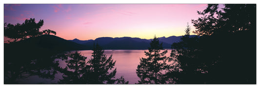 U.S.A. Panoramic cm 120x38
