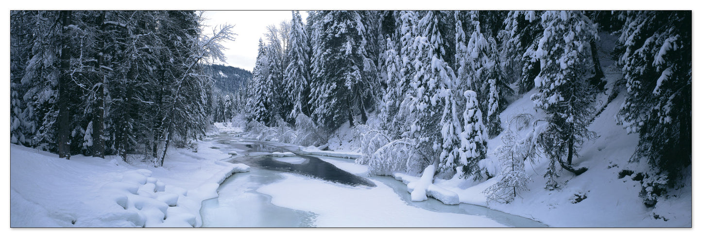 U.S.A. Panoramic cm 120x38