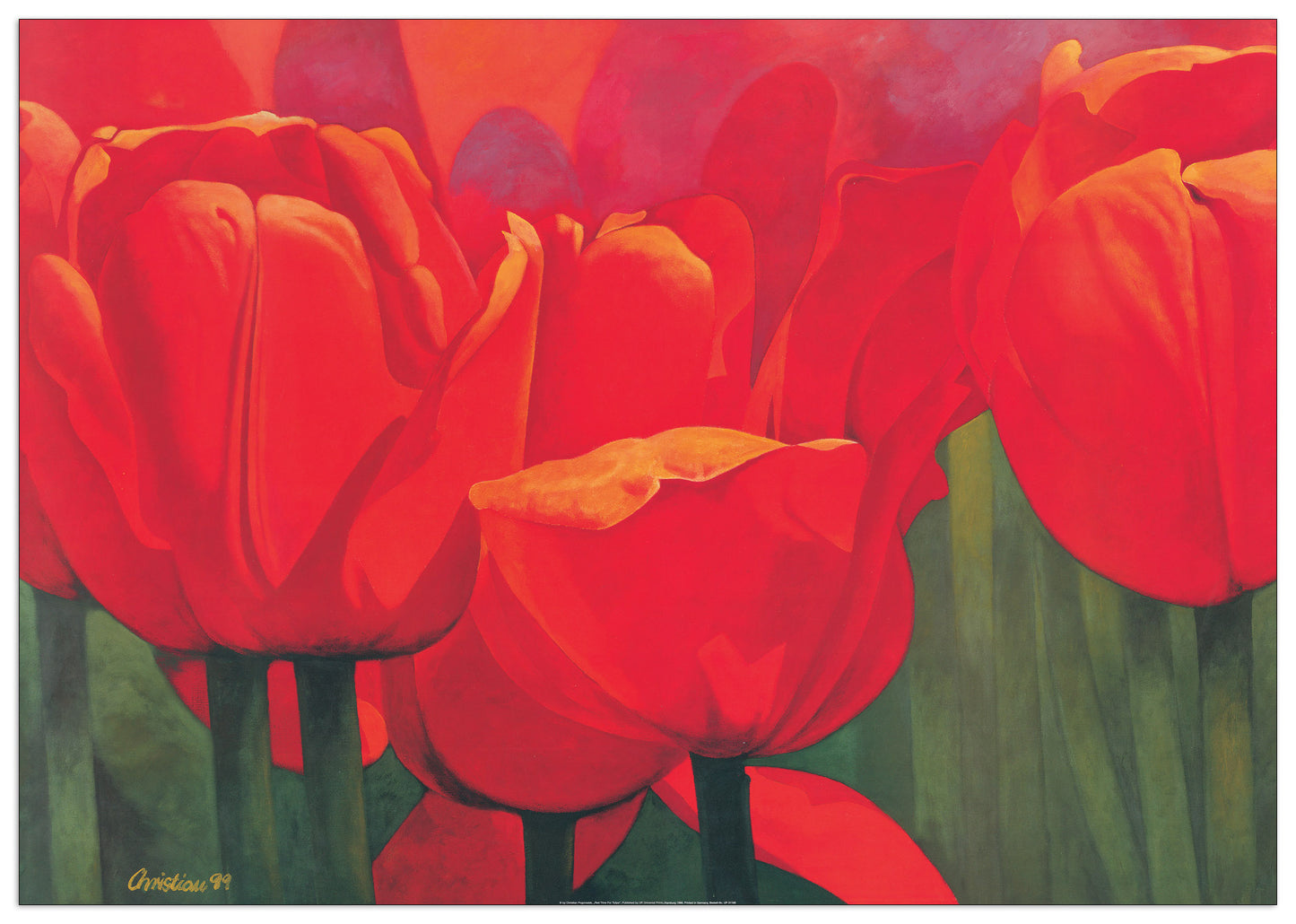 Red Time For Tulips cm 100x70