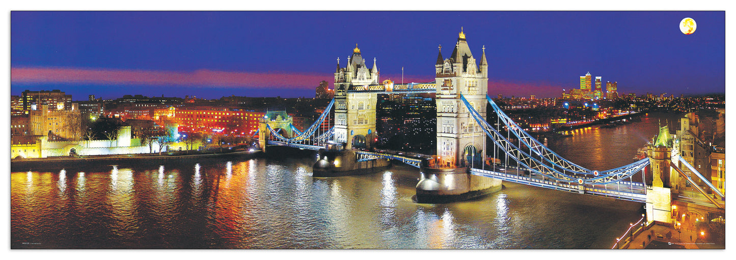 Tower Bridge cm 90x30
