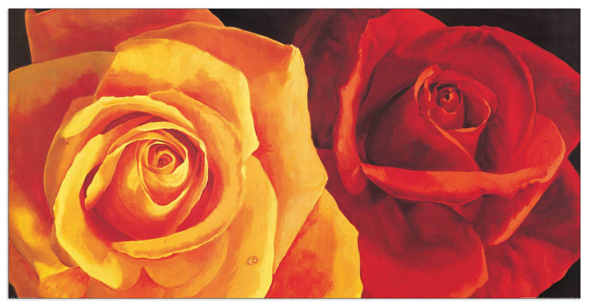 Armonia E Dolcezza cm 100x50