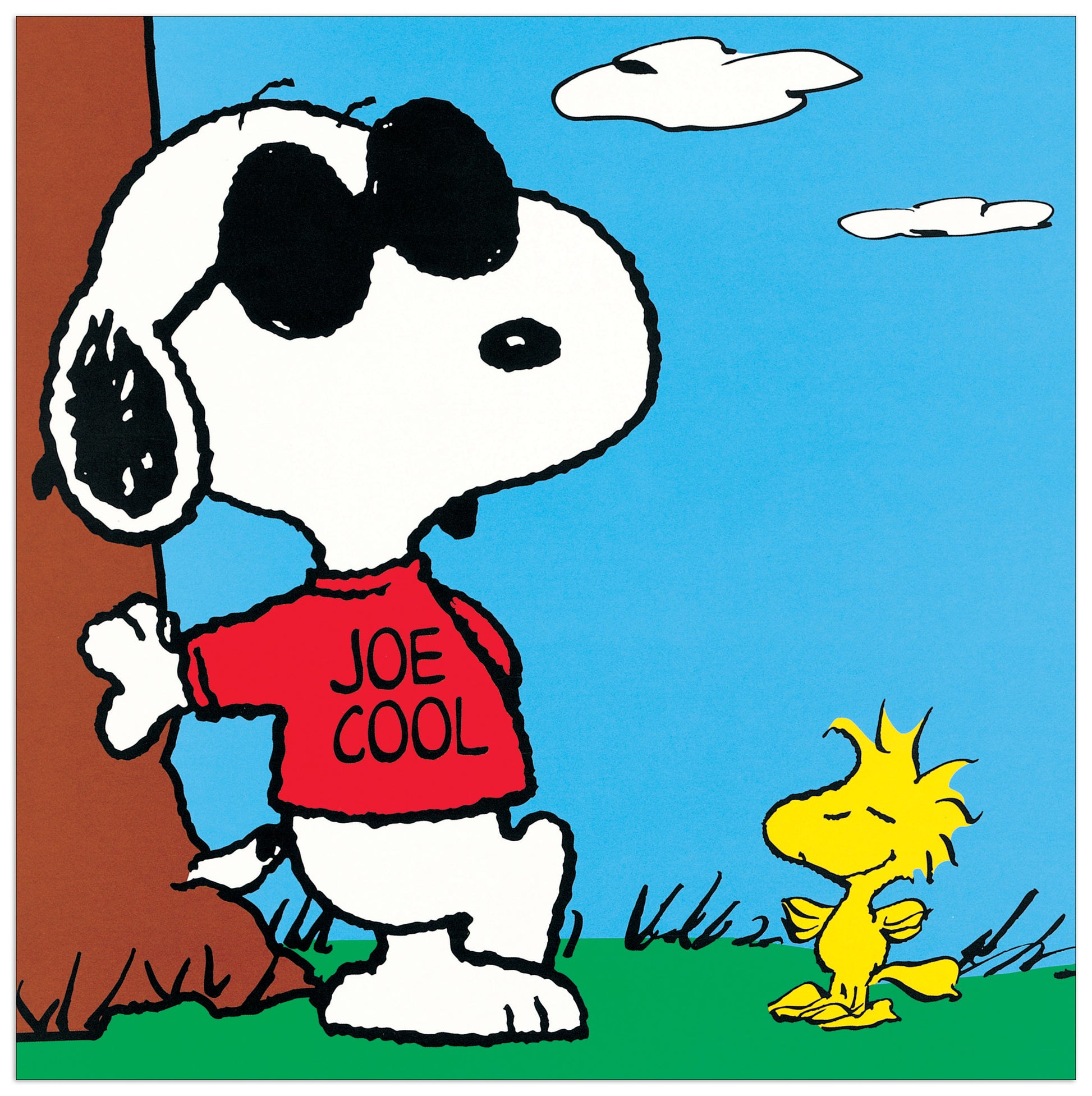 Peanuts (Joe Cool) cm 27x27